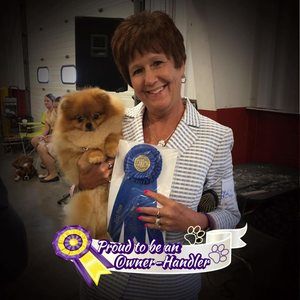 Meet your Posher, Regina